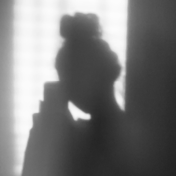 Meet your Posher, Maika - Picture 1 of 1